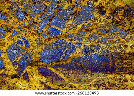 Natural abstraction with tree branches and yellow leaves in yellow and blue colors