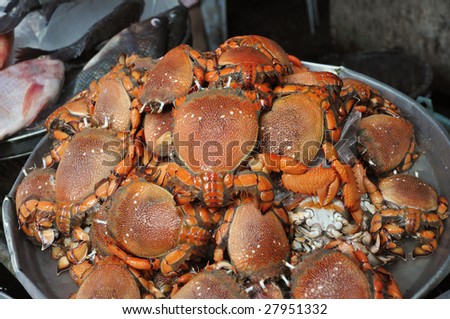 Red Frog Crab Market