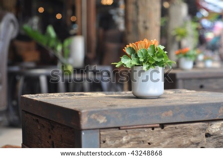 Cup Flower Table Wood
