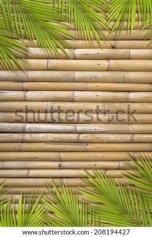 Betel leaves frame on bamboo wall background