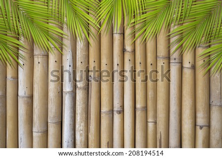 Betel leaves frame on bamboo wall background