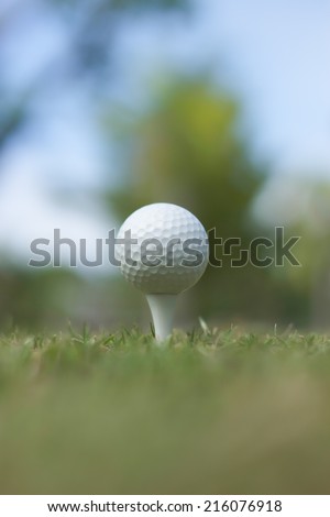 Golf Ball with blur sky and tree