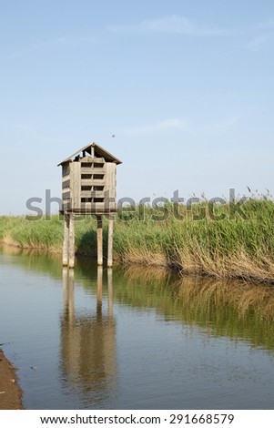 Wetland park of the bird\'s nest