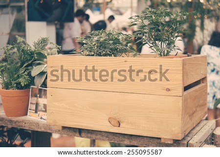 House plants in wooden box at street market vintage color