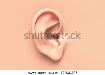 Human ear close up without any hair surrounding