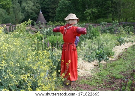 scarecrow in vegetable garden