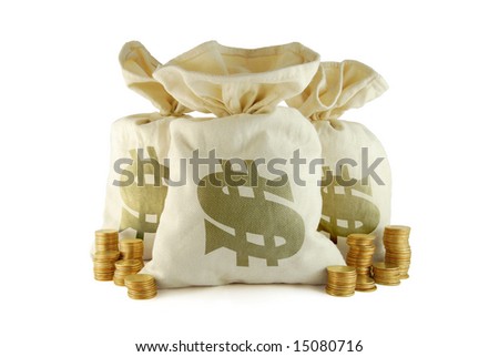 Three bags of money and group of coins near
