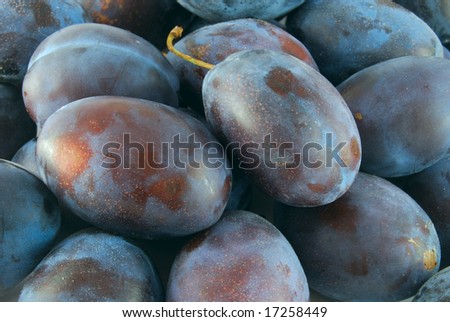 Group of blue plum closeup on the market