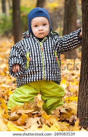 Baby in a park. Yellow leafs and baby