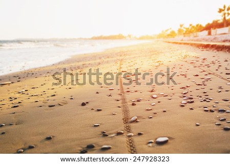Bicycle tyre tracks on a sandy pebble beach at sunset. Off road cycling. Active life style concept.