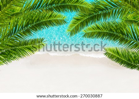 White sand beach and tropical sea with palm tree. Resort background.