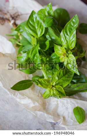 Bunch of fresh green basil on a wooden table