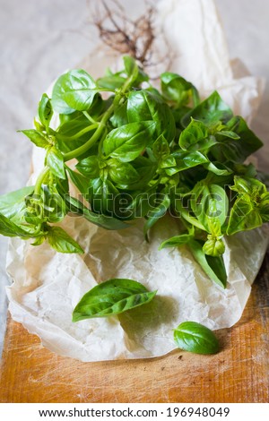 Bunch of fresh green basil on a wooden table
