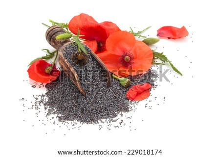Poppy flower and poppy seed  in wooden scoop. Isolated on white background.