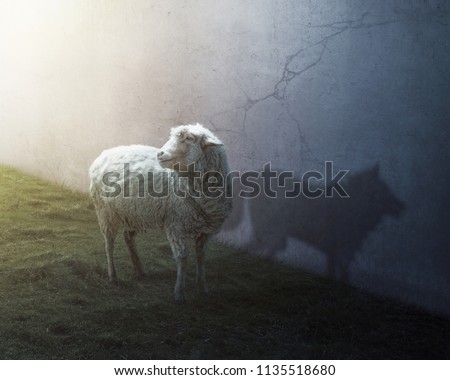 A sheep with the shadow of a wolf