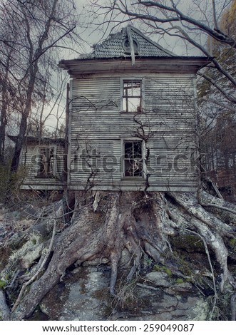 An old home being over taken by roots and trees.