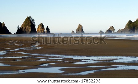 Beach View: Point of the Arches at Low Tide