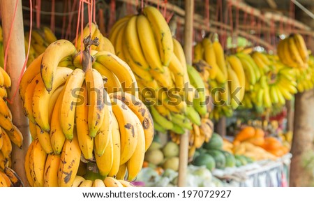 bunch of ripe yellow bananas to eat.
