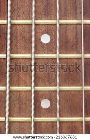 frets on fingerboard of electric bass guitar (close up)