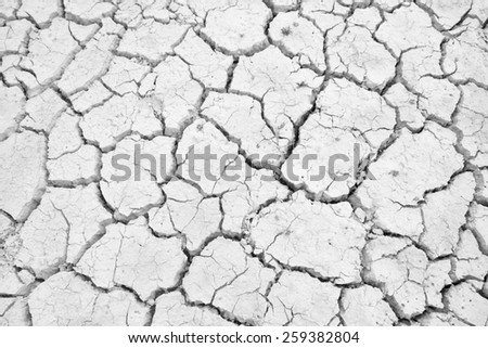 white Dry land. Cracked ground background.