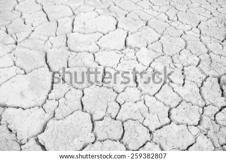white Dry land. Cracked ground background.