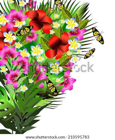 Color tropical flowers and leaves background over white, Arrangement from tropical flowers and leaves