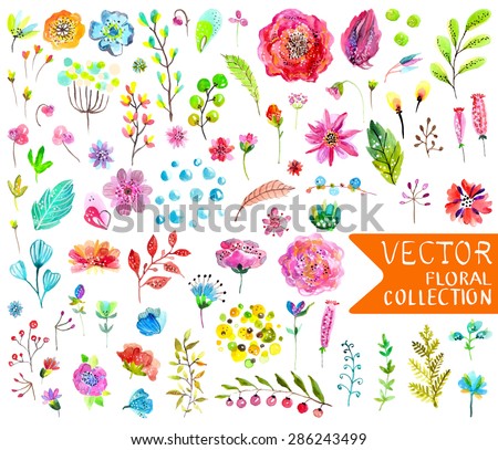 Watercolor flowers collection for different design over white, Vector