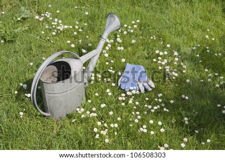 Watering can and garden gloves on blooming lawn in spring garden