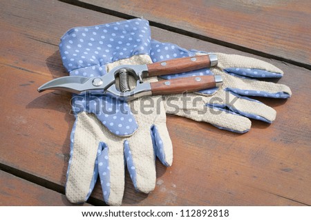 Blue garden gloves and clippers on garden table.