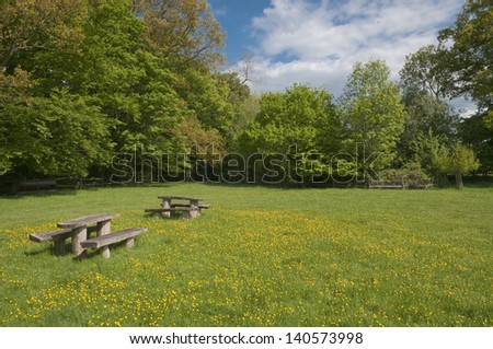 picnic table in blooming meadow, West Sussex, UK.