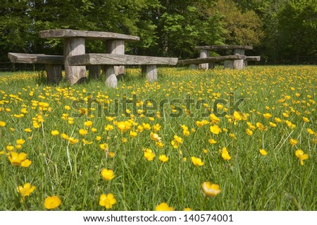 Picnic table in blooming meadow, West Sussex, UK.