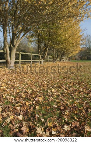 Autumn countryside road and wooden fence, Suffolk, England