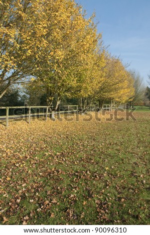 Autumn countryside road and wooden fence, Suffolk, England