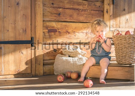 Baby Girl Caucasian One Year Old Sitting and eating apple near Wooden Barn or House with Sack, Box and Basket with Apples on Background, beautiful Golden sunset light from aside