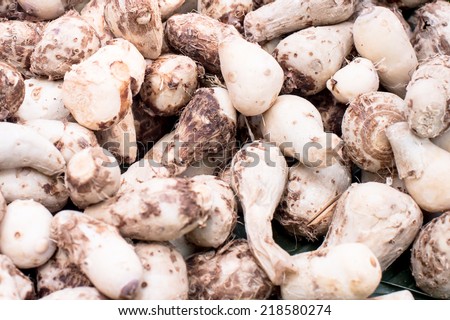 background of fresh taro root, Taro Roots at the market