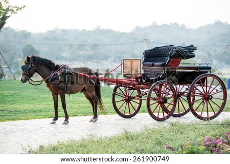 Traditional Horse Carriage, Lampang, Thailand,Horse ride in Killarney National Park