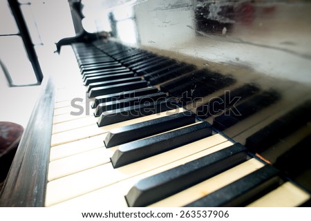 Abstract grand piano,open a piano, strings.