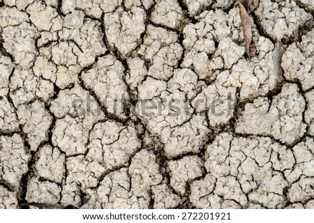 Details of a dried cracked earth soil.,cracked earth