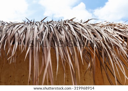 Thatched roof with sky