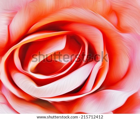 abstract roses flower red pink orange mix