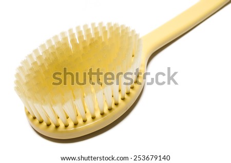 Scrubbing brush with long handle for backs