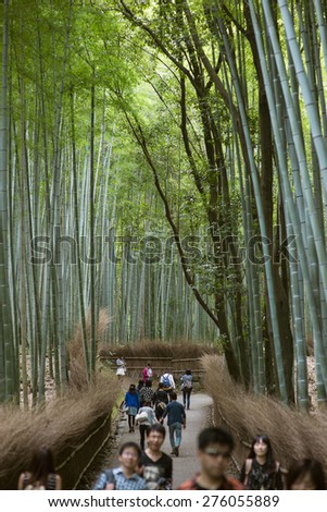 KYOTO,JAPAN - OCTOBER 12 2014 : Arashiyama bamboo grove is crowded by Japanese and foreigner tourists, on October 12, 2014 in Kyoto, Japan.