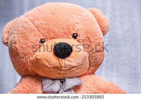 big soft teddy bear