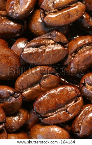 Closeup of freshly roasted coffee beans. Vertical or horizontal orientation.