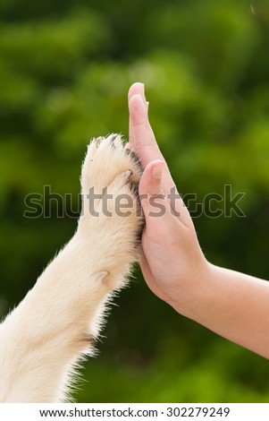 Give me five -Puppy pressing his paw against a Girl hand on nature background