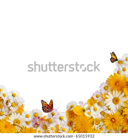 Butterfly On Spring Flower Border Isolated On White, Cl