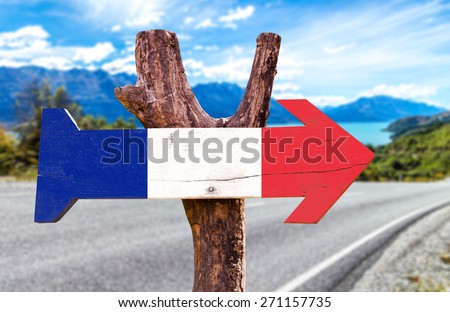France Flag wooden sign with road background
