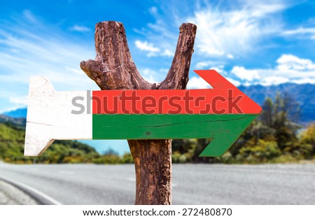 Madagascar Flag wooden sign with road background