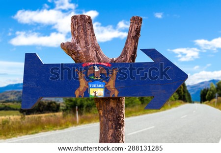 Michigan Flag wooden sign with road background
