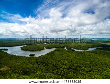 Amazon rainforest in Brazil, South America